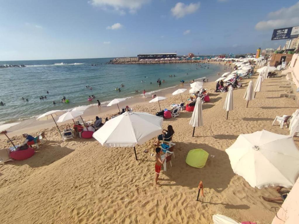 26Th Of July Apartments Alexandria Eksteriør billede